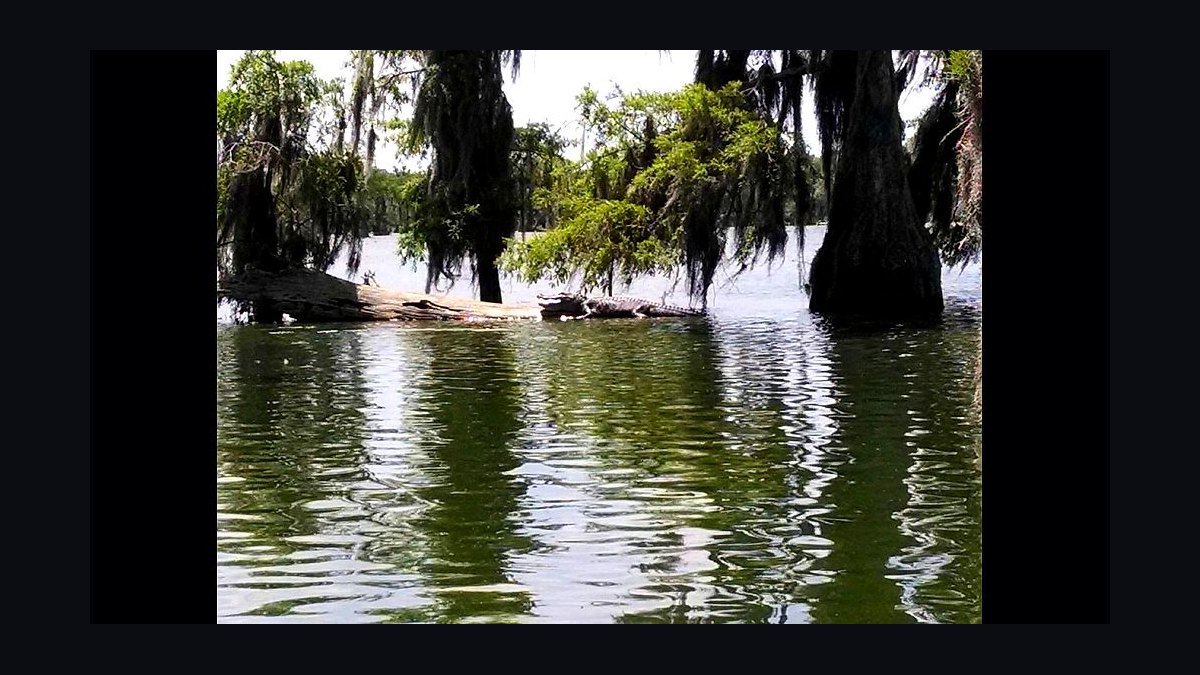 Top 10 Equestrian Estates in Louisiana in 2026 — figure 5