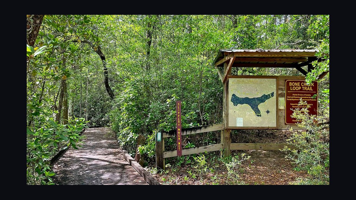 Top 10 Equestrian Estates in Louisiana in 2026 — figure 6