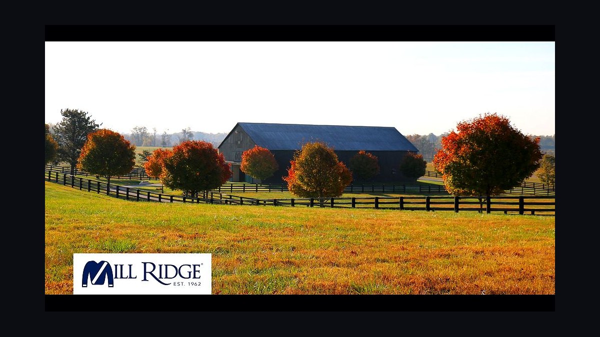 Top 10 Equestrian Estates in Kentucky in 2026 — figure 10