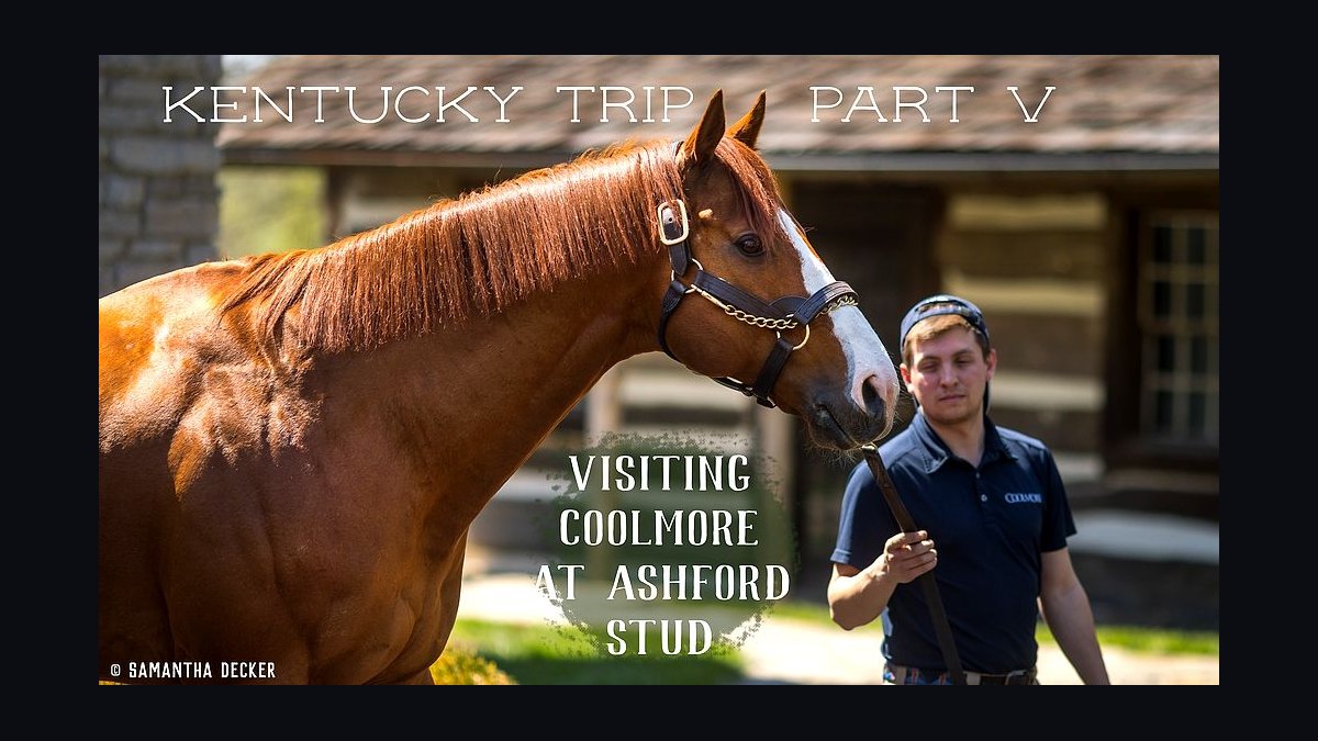 Top 10 Equestrian Estates in Kentucky in 2026 — figure 2
