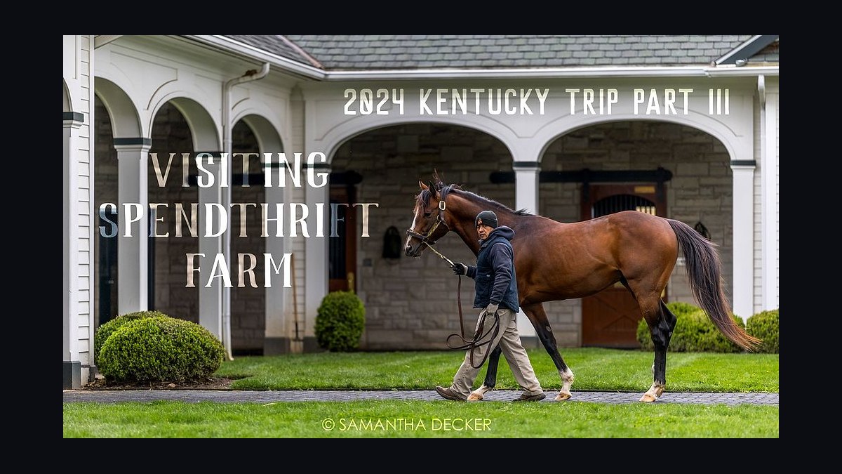 Top 10 Equestrian Estates in Kentucky in 2026 — figure 4