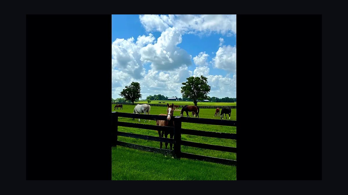 Top 10 Equestrian Estates in Kentucky in 2026 — figure 6