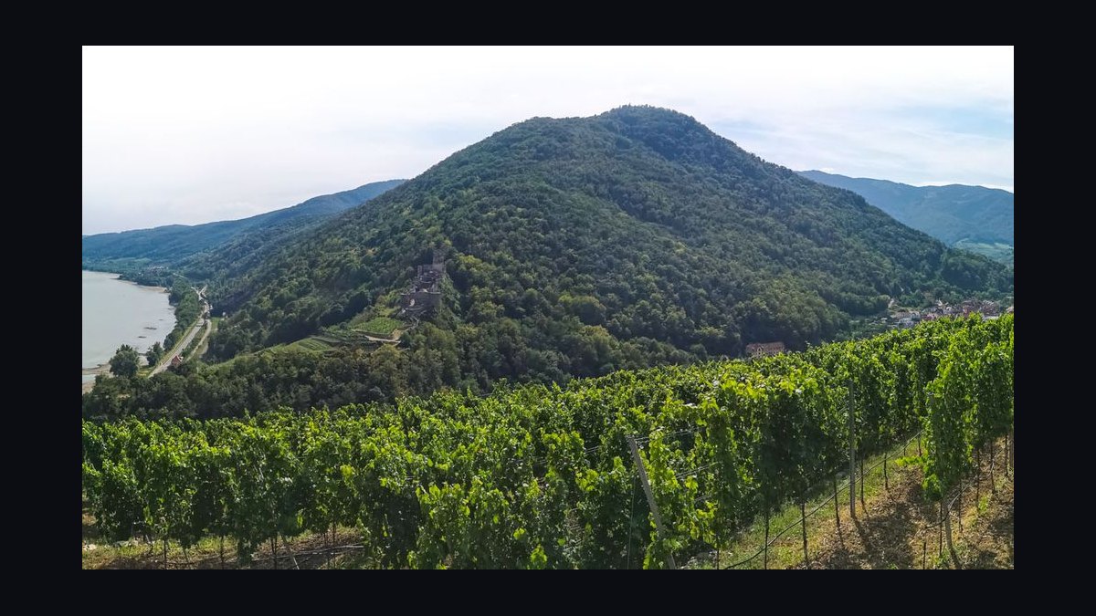 The 10 Best Wine Festivals in Europe in 2027 — figure 8