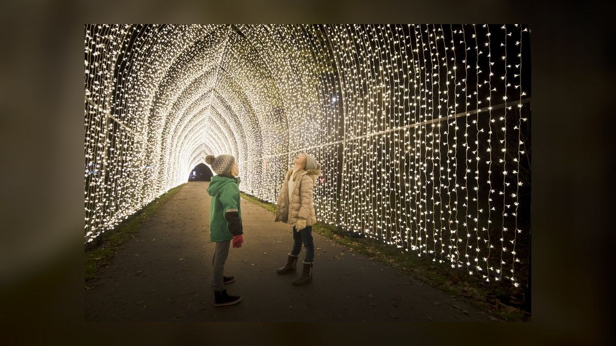 The 10 Best Winter Light Festivals in the World to See in 2027 — figure 5