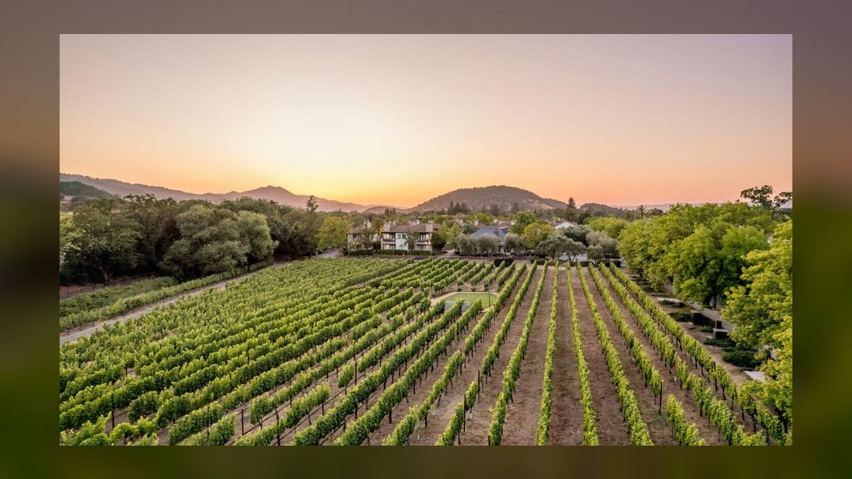 The 10 Best Napa Valley Wedding Venues in 2027 — figure 10