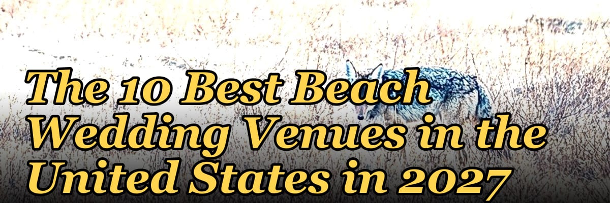 The 10 Best Beach Wedding Venues in the United States in 2027