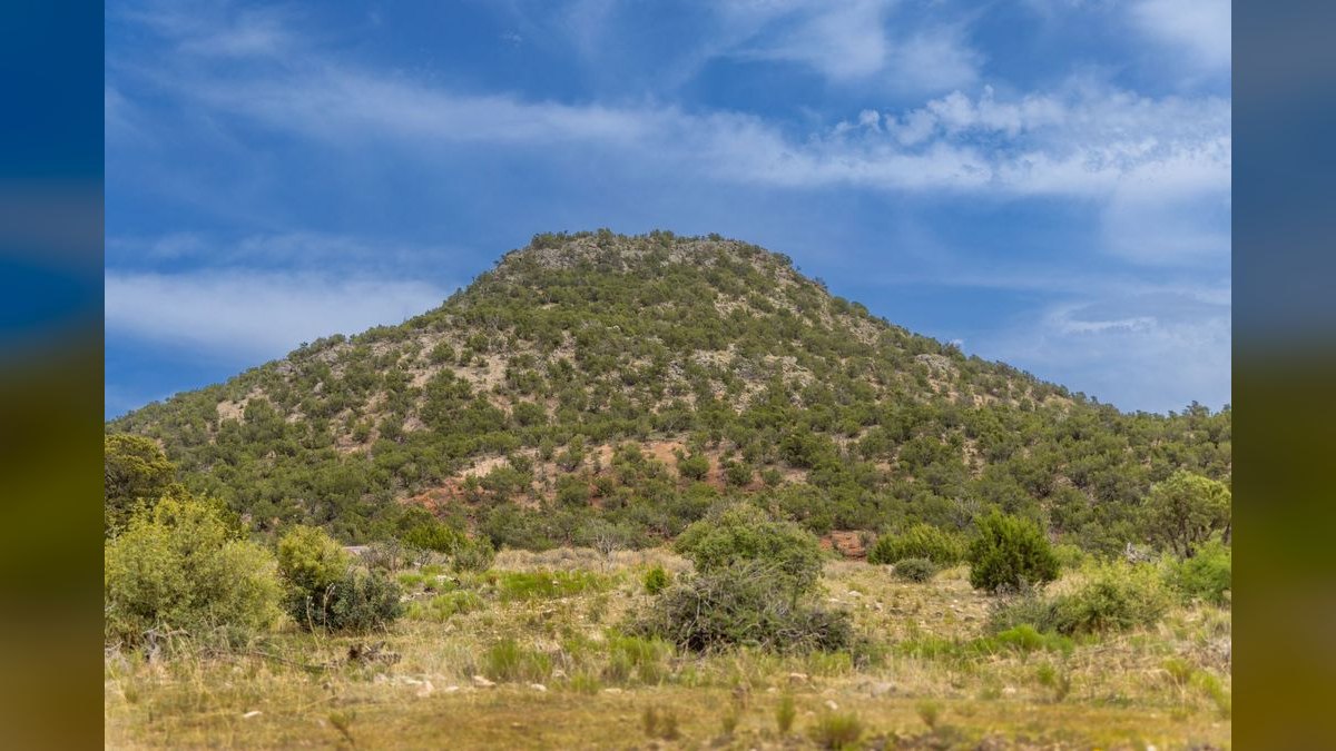 The 10 Best Texas Hill Country Wedding Venues in 2027 — figure 5