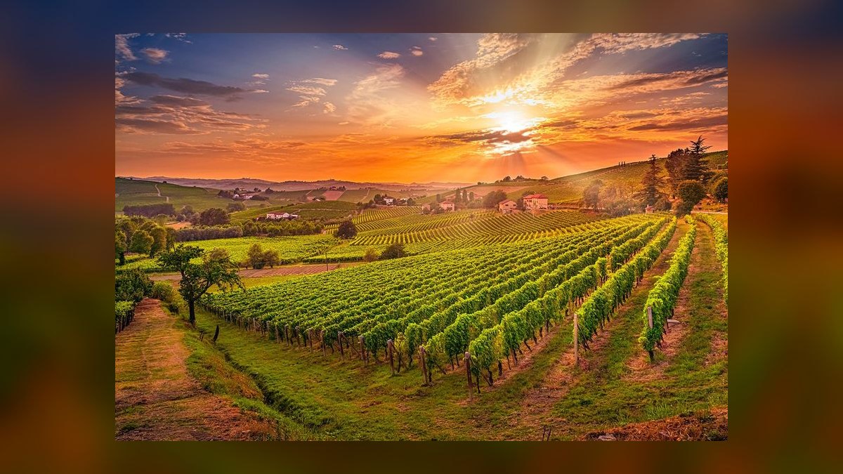 The 10 Best Texas Hill Country Wedding Venues in 2027 — figure 7