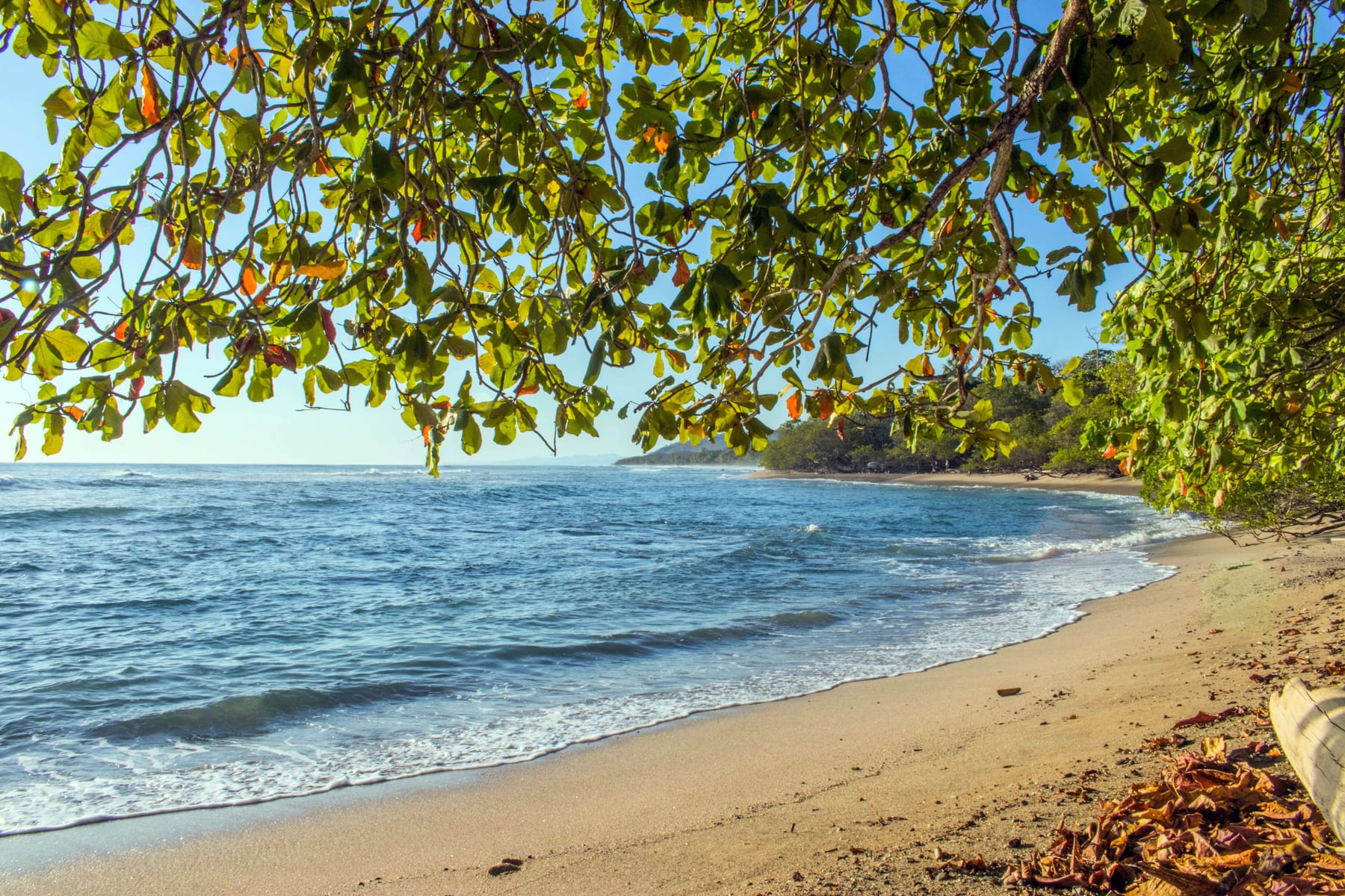10 Best All-Inclusive Resorts for Family Reunions in 2027 — figure 8