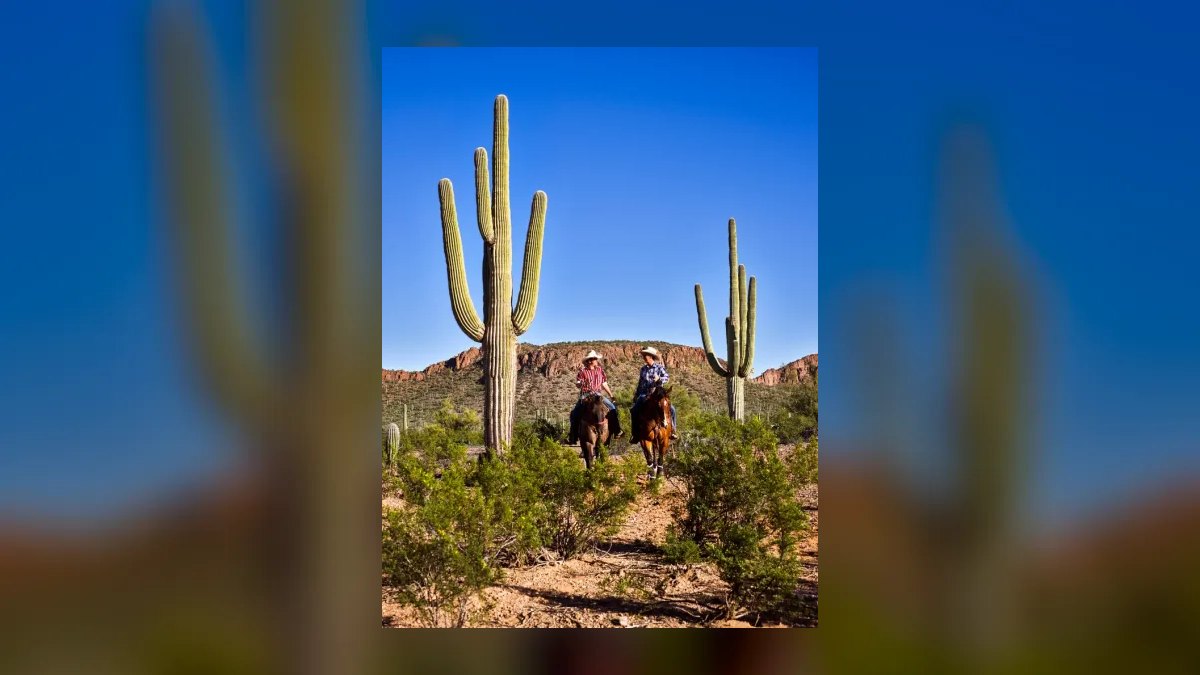 10 Best Dude Ranches for Family Reunions in 2027 — figure 10