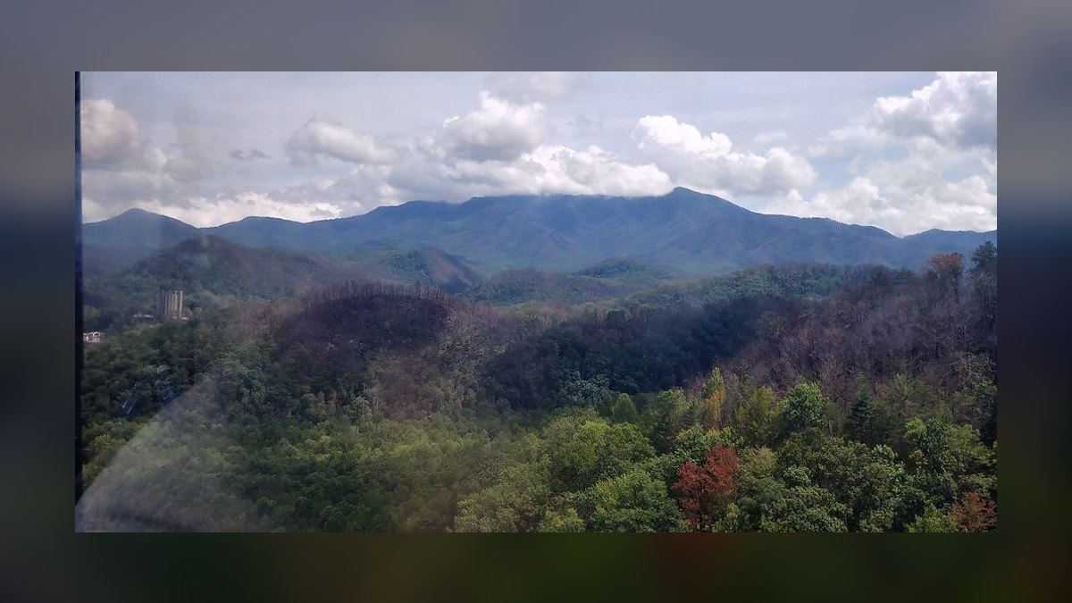 10 Best Family Reunion Destinations in the Southeast for 2027 — figure 1