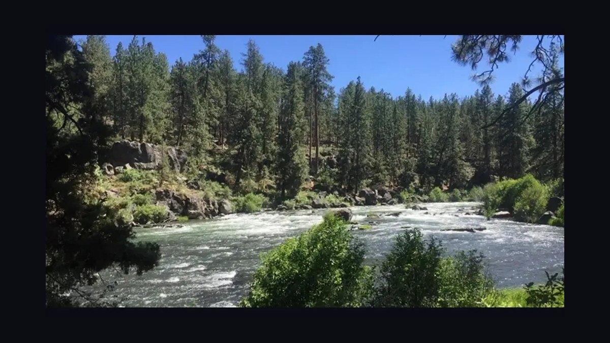 10 Best Family Reunion Destinations in the Western U.S. For 2027 — figure 10