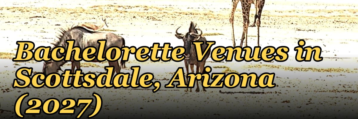 Best Bridal Shower and Bachelorette Venues in Scottsdale, Arizona (2027)