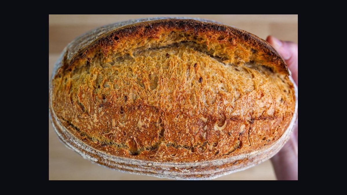 Should I open or buy a Panera Bread franchise in 2027 — figure 3
