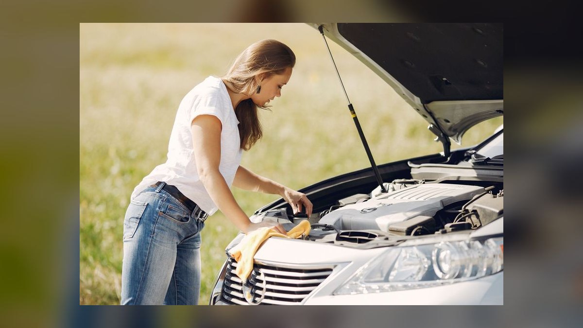Should I open or buy a Meineke franchise in 2027 — figure 10