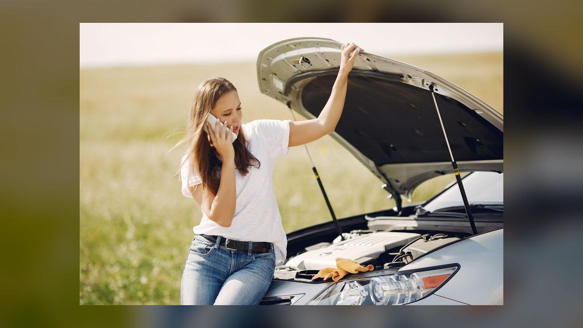 Should I open or buy a Meineke franchise in 2027 — figure 9