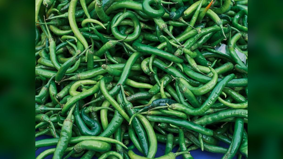 Should I open or buy a Chili's franchise in 2027 — figure 1