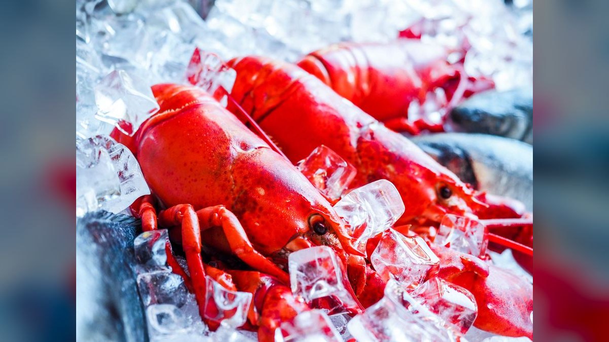 Should I open or buy a Red Lobster franchise in 2027 — figure 1