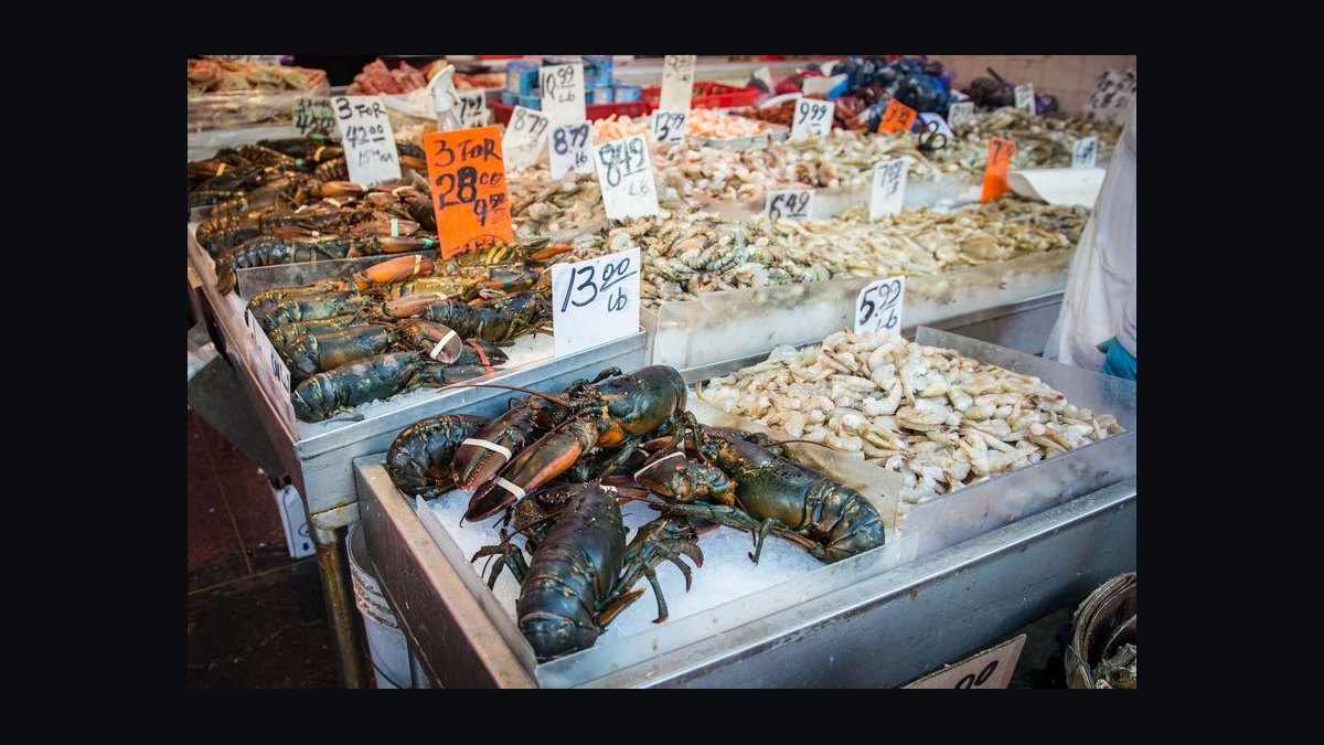 Should I open or buy a Red Lobster franchise in 2027 — figure 10
