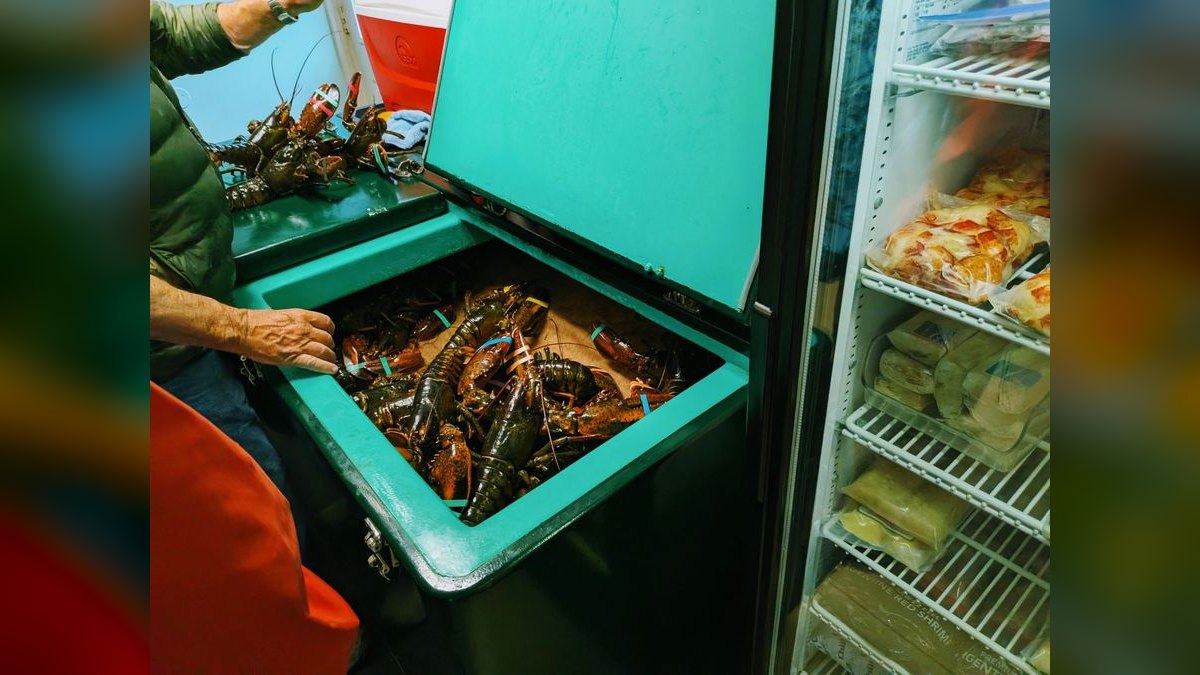 Should I open or buy a Red Lobster franchise in 2027 — figure 3