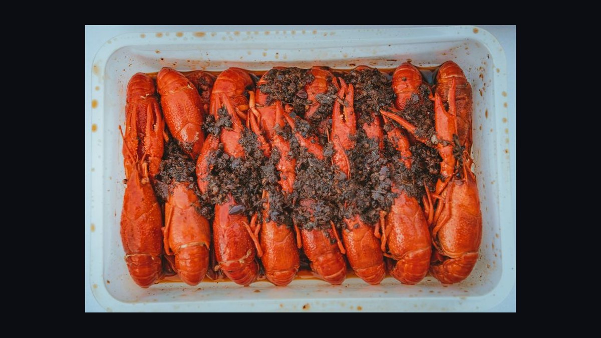 Should I open or buy a Red Lobster franchise in 2027 — figure 8