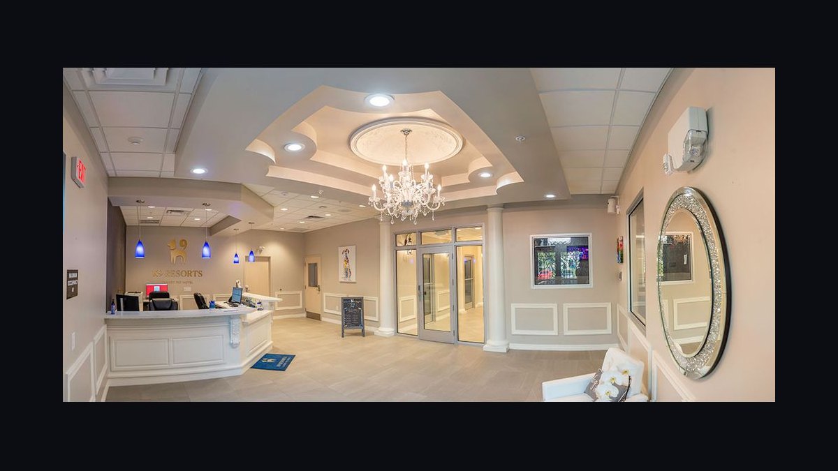 Should I open or buy a K9 Resorts Luxury Pet Hotel franchise in 2027 — figure 3