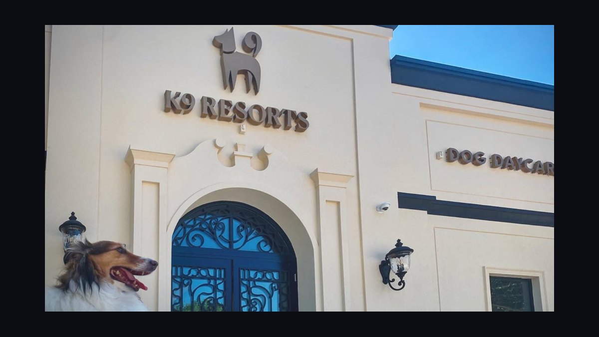 Should I open or buy a K9 Resorts Luxury Pet Hotel franchise in 2027 — figure 4