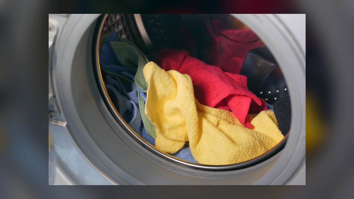 Should I open or buy a Wag N' Wash franchise in 2027 — figure 5