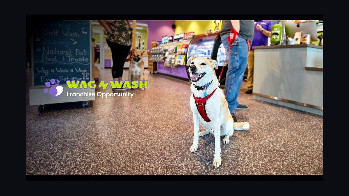 Should I open or buy a Wag N' Wash franchise in 2027?