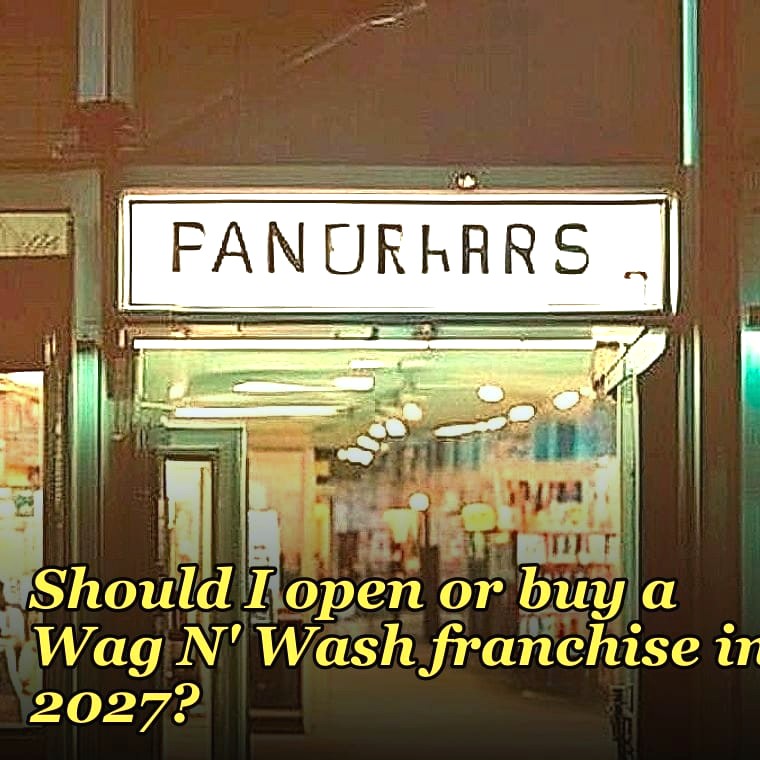 Should I open or buy a Wag N' Wash franchise in 2027?