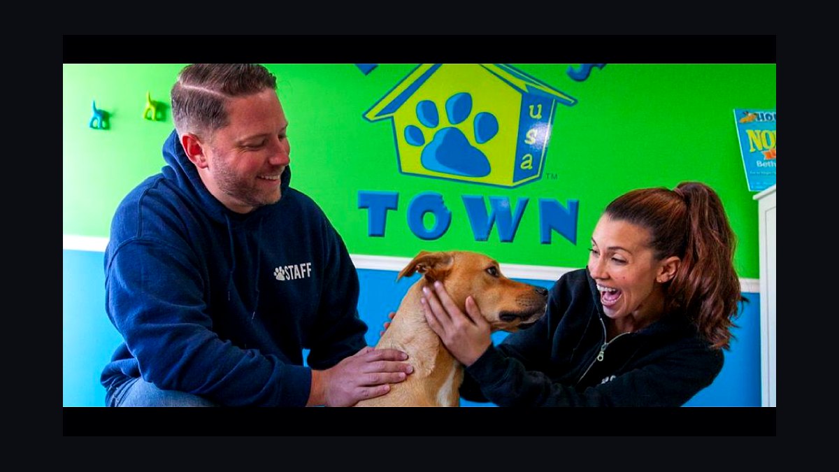 Should I open or buy a Hounds Town USA franchise in 2027?