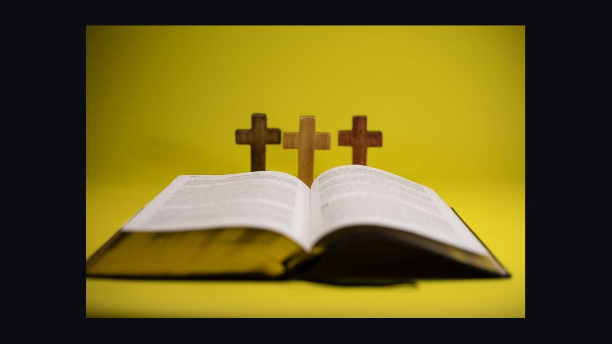 Should I open or buy a Christian Brothers Automotive franchise in 2027 — figure 4