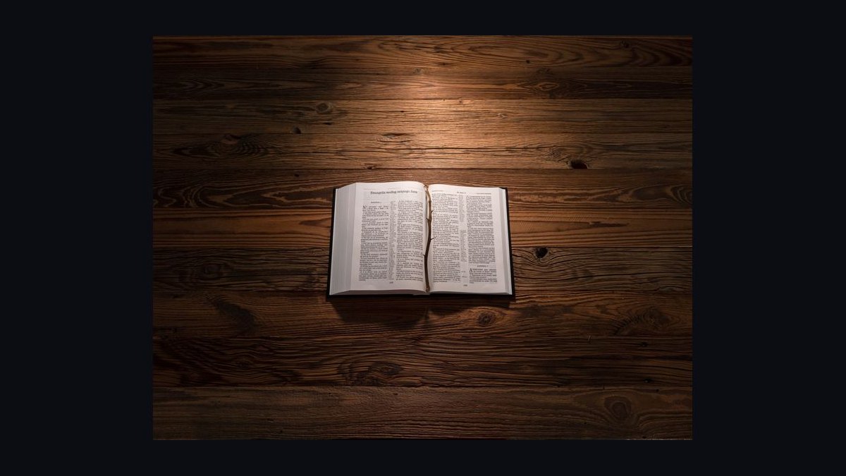 Should I open or buy a Christian Brothers Automotive franchise in 2027 — figure 7