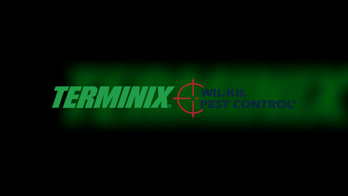 Should I open or buy a Terminix franchise in 2027 — figure 5
