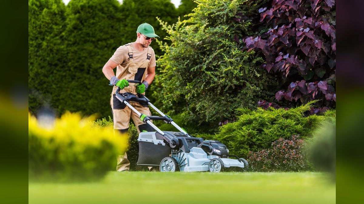 Should I open or buy a Weed Man Lawn Care franchise in 2027 — figure 1