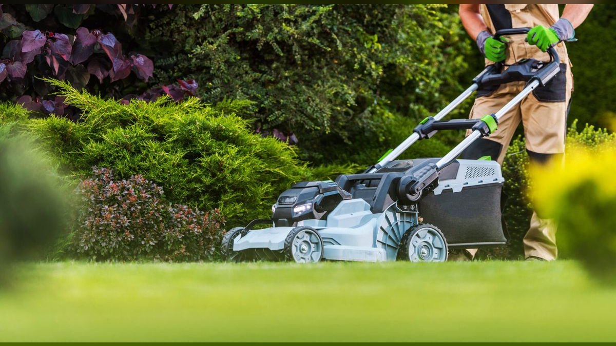 Should I open or buy a Weed Man Lawn Care franchise in 2027 — figure 5
