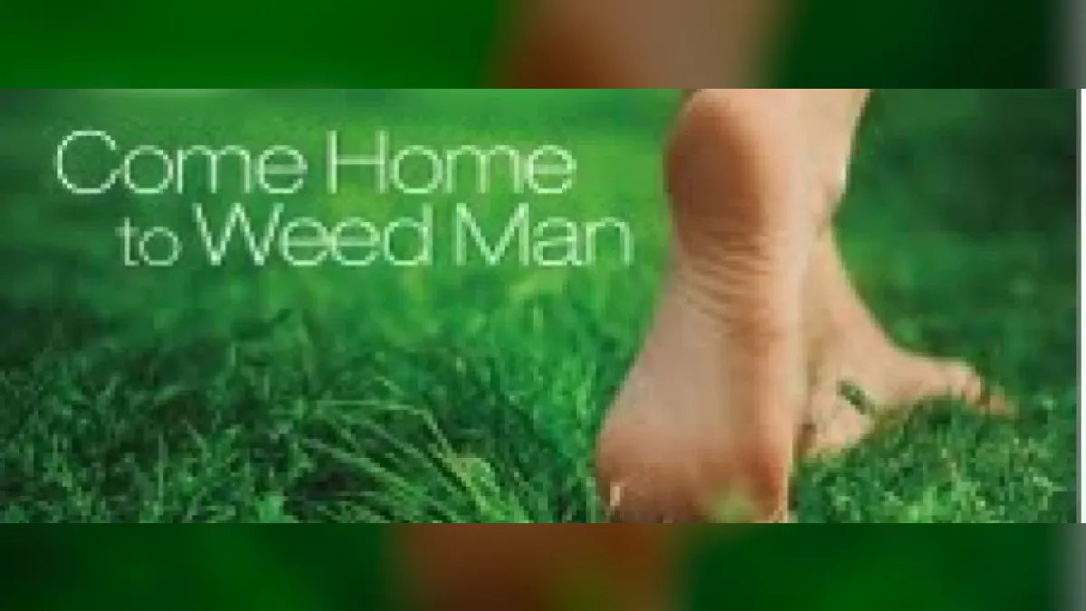 Should I open or buy a Weed Man Lawn Care franchise in 2027 — figure 6
