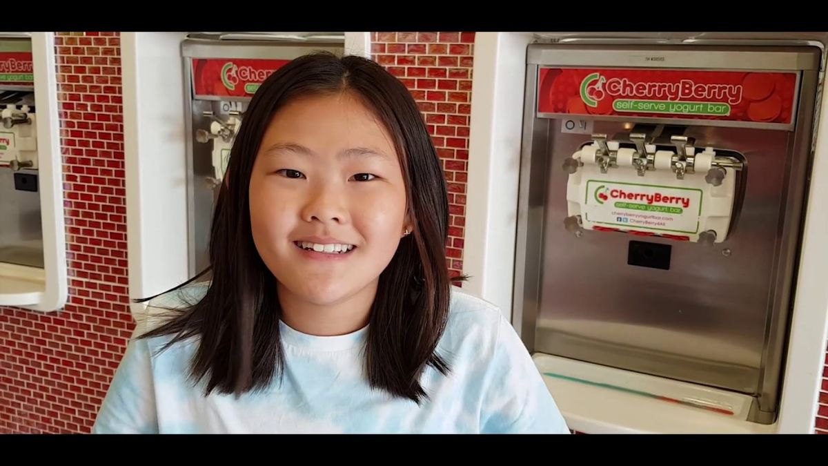 Should I open or buy a Cherry Berry frozen yogurt franchise in 2027 — figure 3