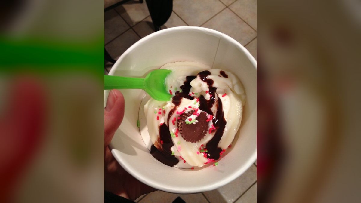 Should I open or buy a Cherry Berry frozen yogurt franchise in 2027?