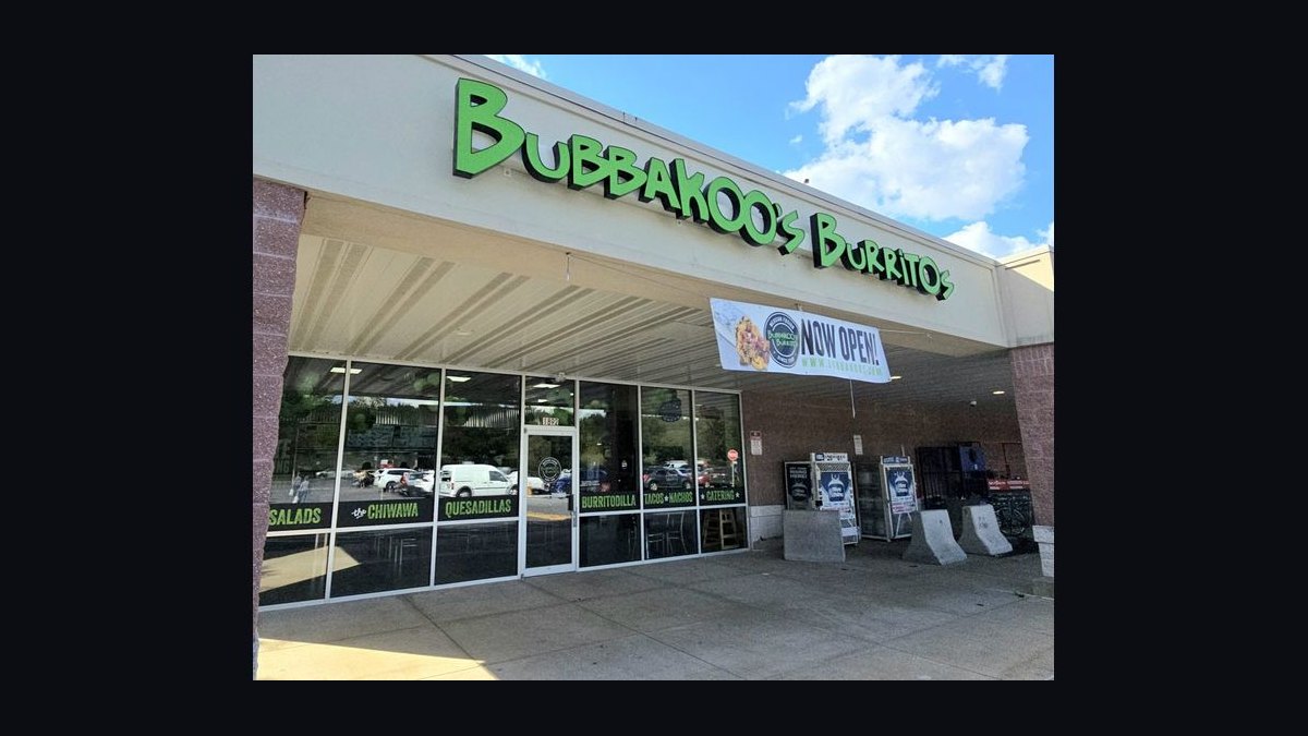 Should I open or buy a Bubbakoo's Burritos franchise in 2027 — figure 2