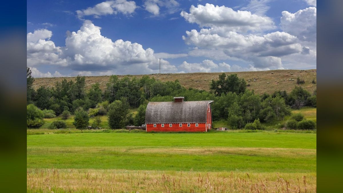 Should I open or buy a Montana's BBQ & Bar franchise in 2027 — figure 3