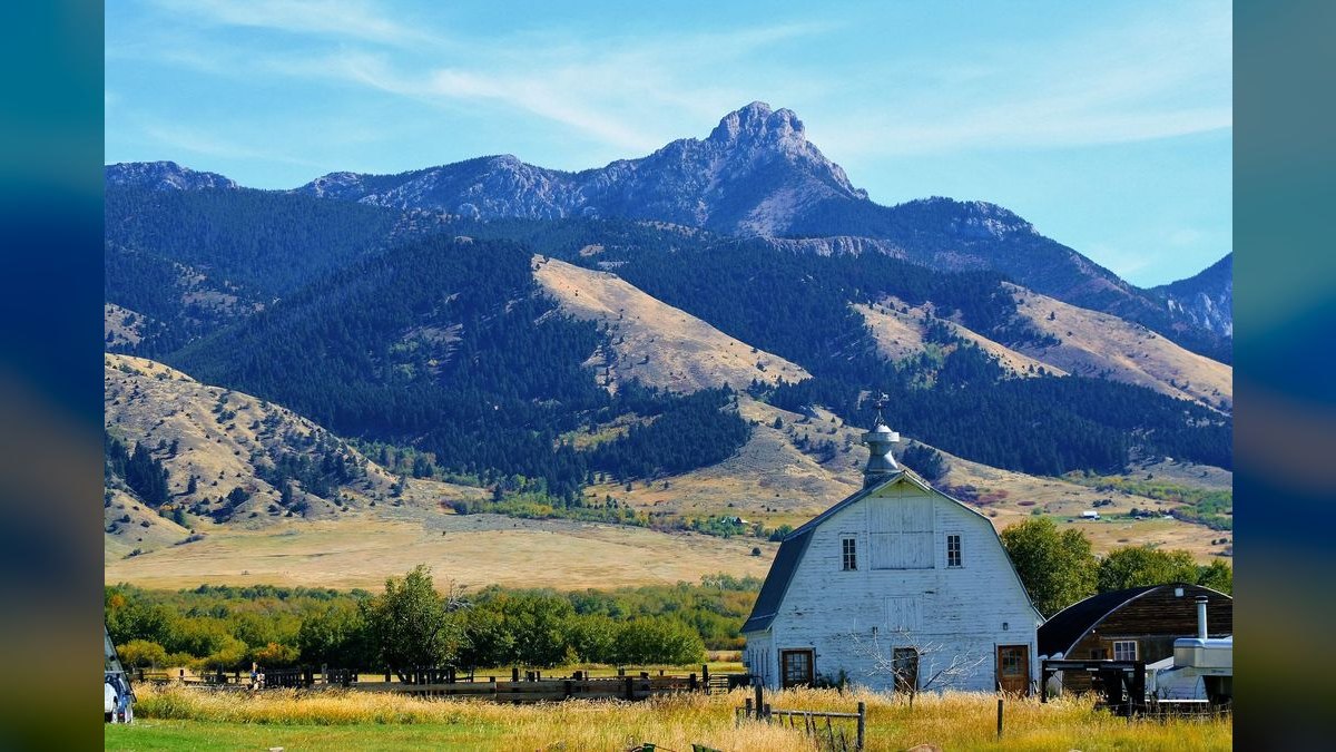 Should I open or buy a Montana's BBQ & Bar franchise in 2027 — figure 6