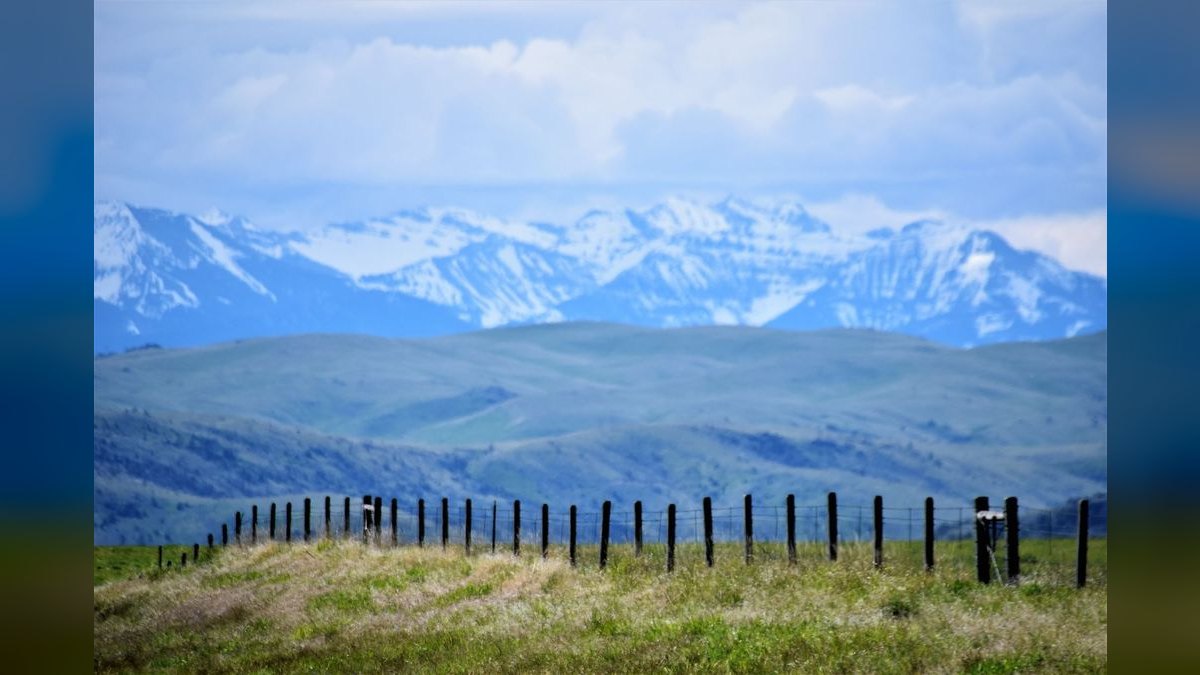 Should I open or buy a Montana's BBQ & Bar franchise in 2027?