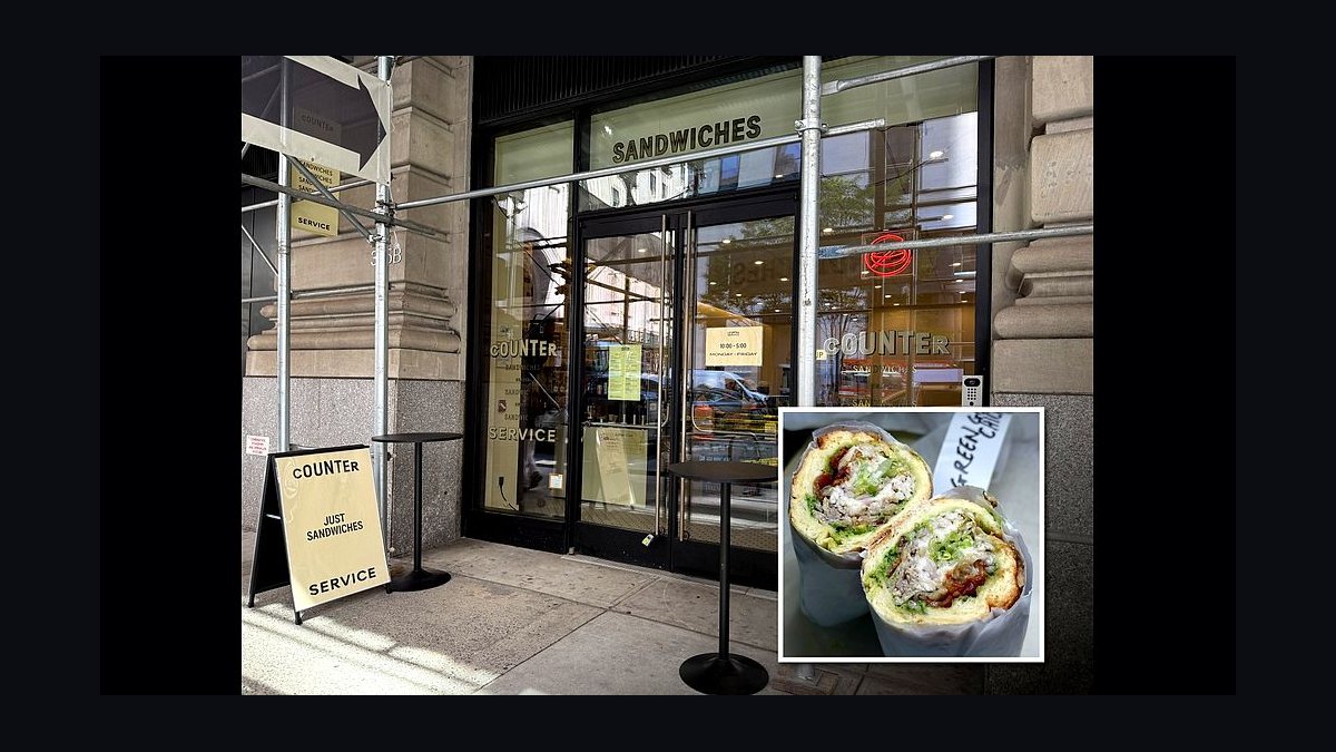Should I open or buy a Subway alternative — Schlotzsky's — franchise in 2027?