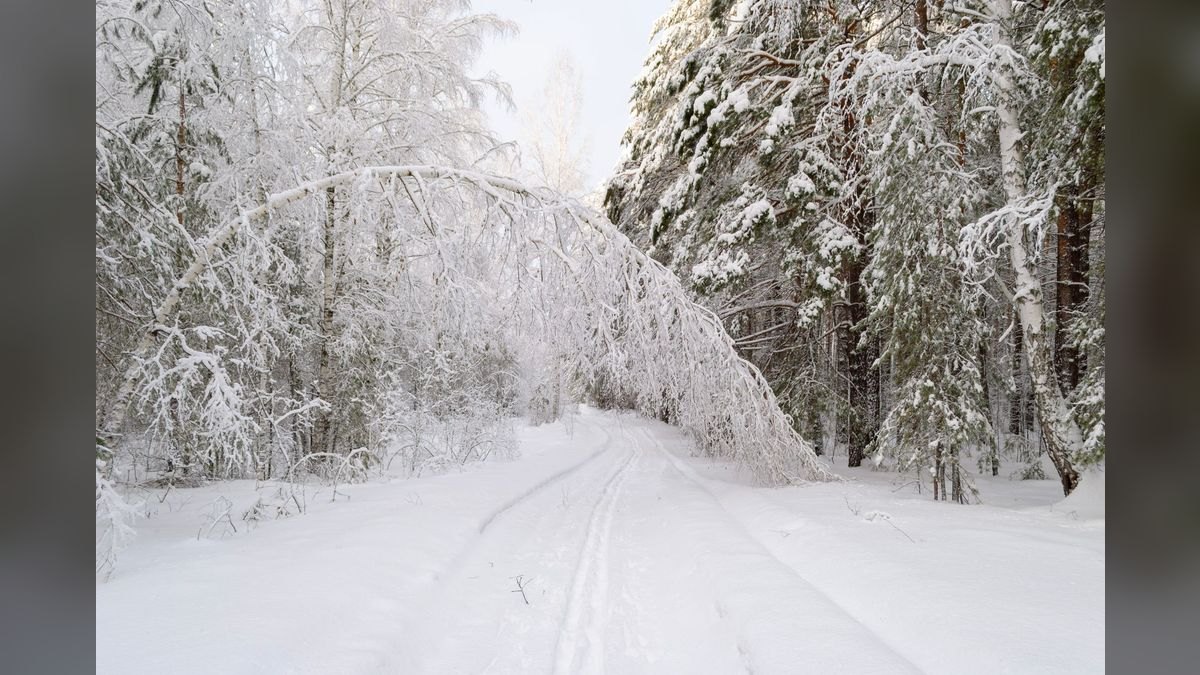 Should I open a snow plow business in 2027 — figure 2