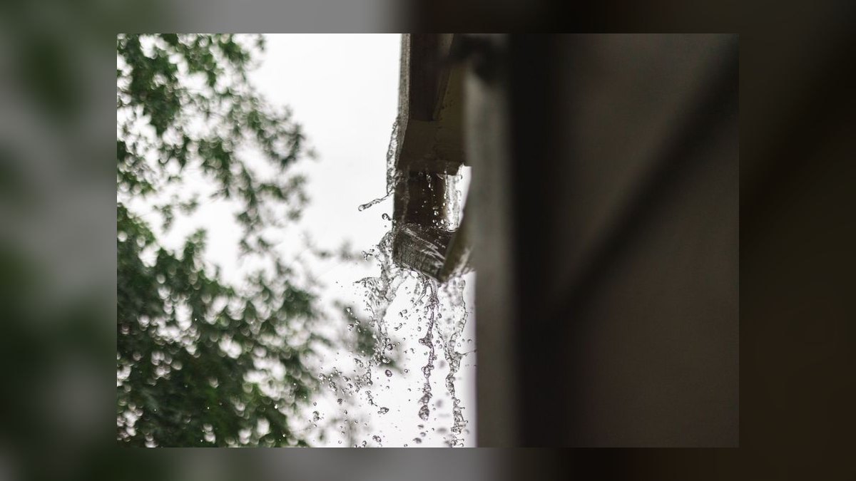 Should I open a gutter cleaning business in 2027 — figure 8