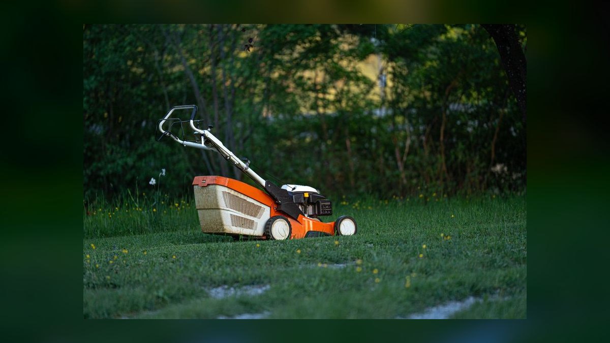 Should I open a landscape design business in 2027 — figure 1