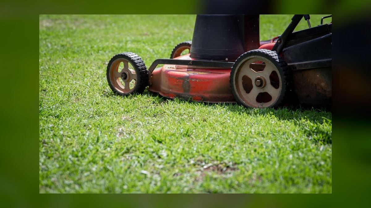 Should I open a landscape design business in 2027 — figure 4