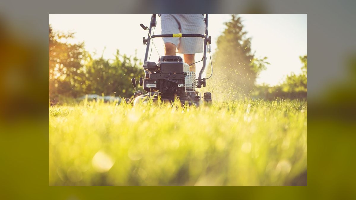 Should I open a landscape design business in 2027 — figure 5