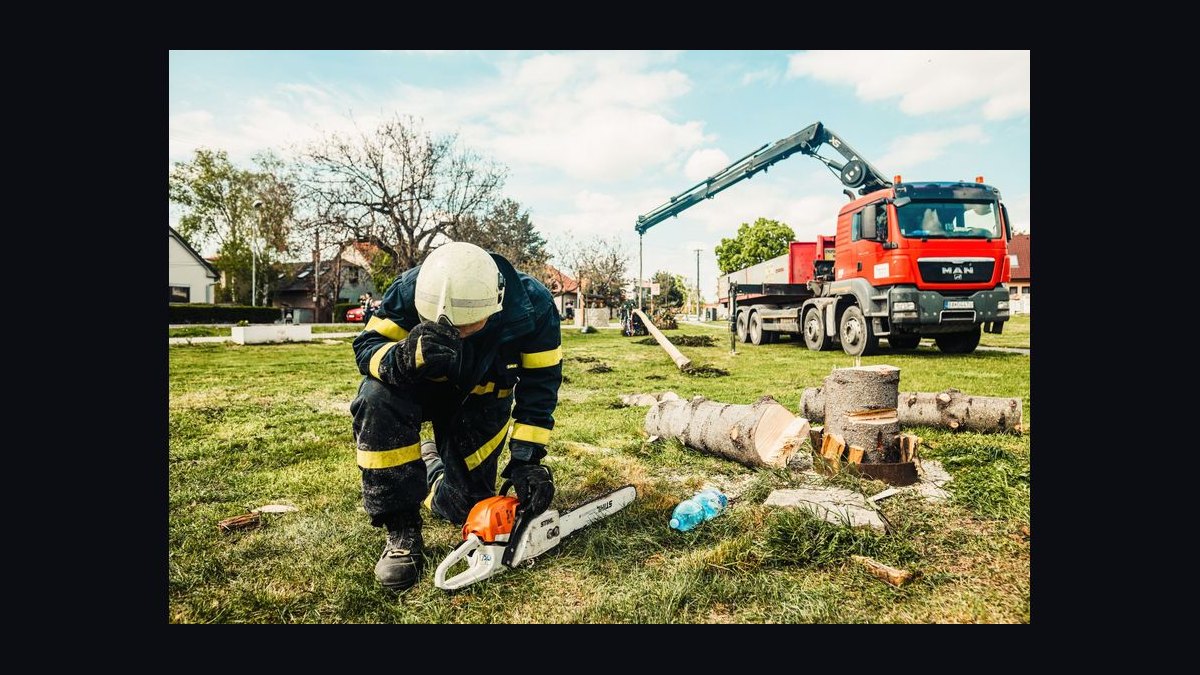 Should I open a tree service business in 2027 — figure 10